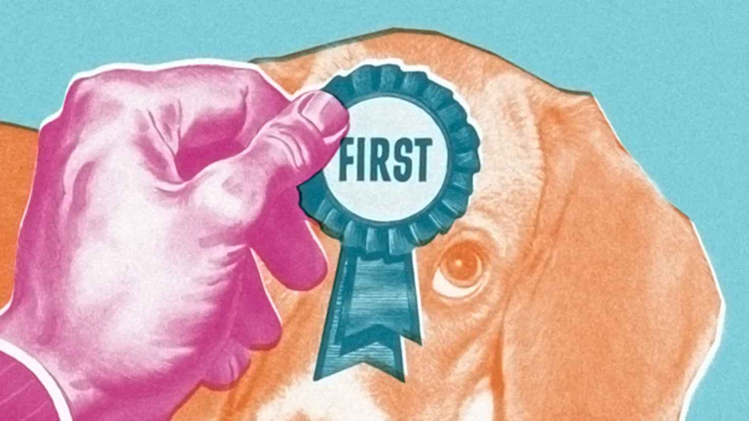 Dog with badge for first prize