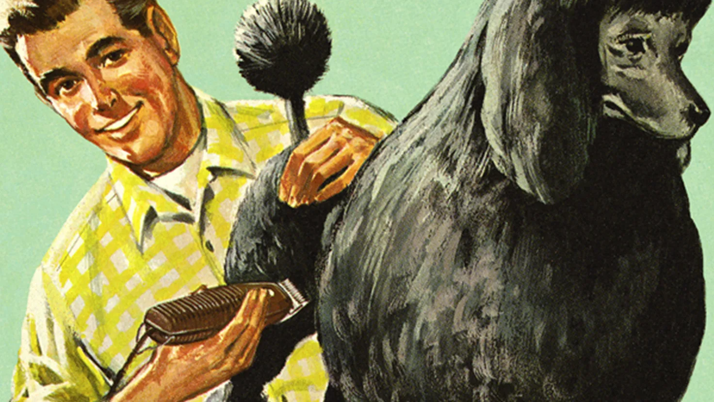 Man grooming puddle