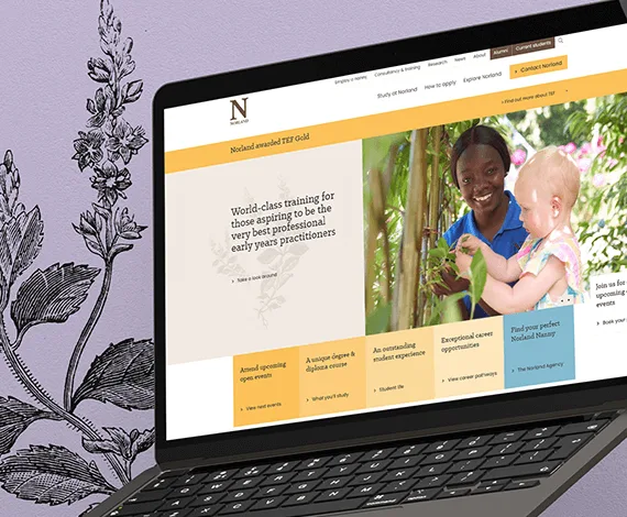 Norland Nannies - screen dump