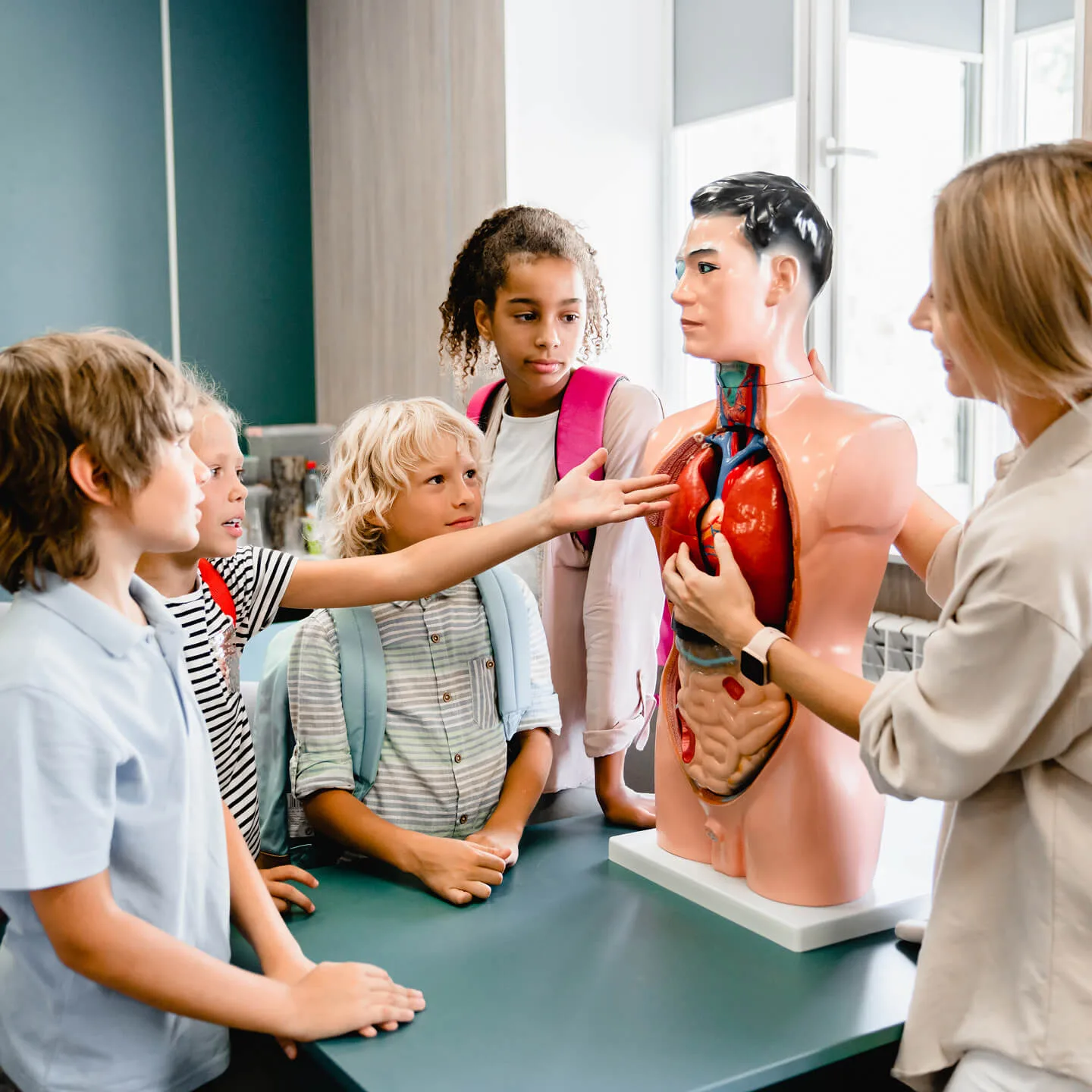 A group of primary school learners and a teacher inspecting a human torso model