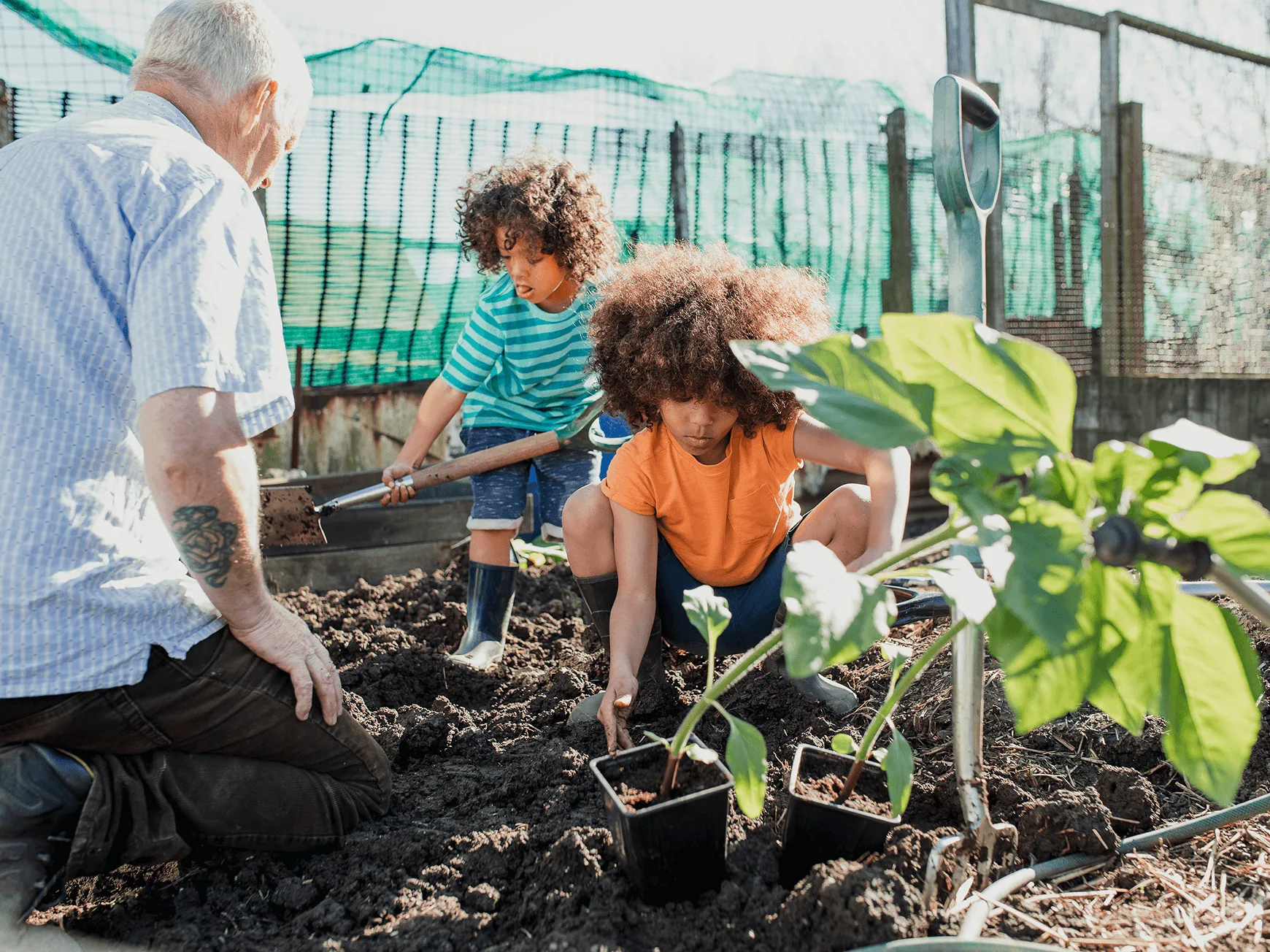 Image of family at an allotment gardening.