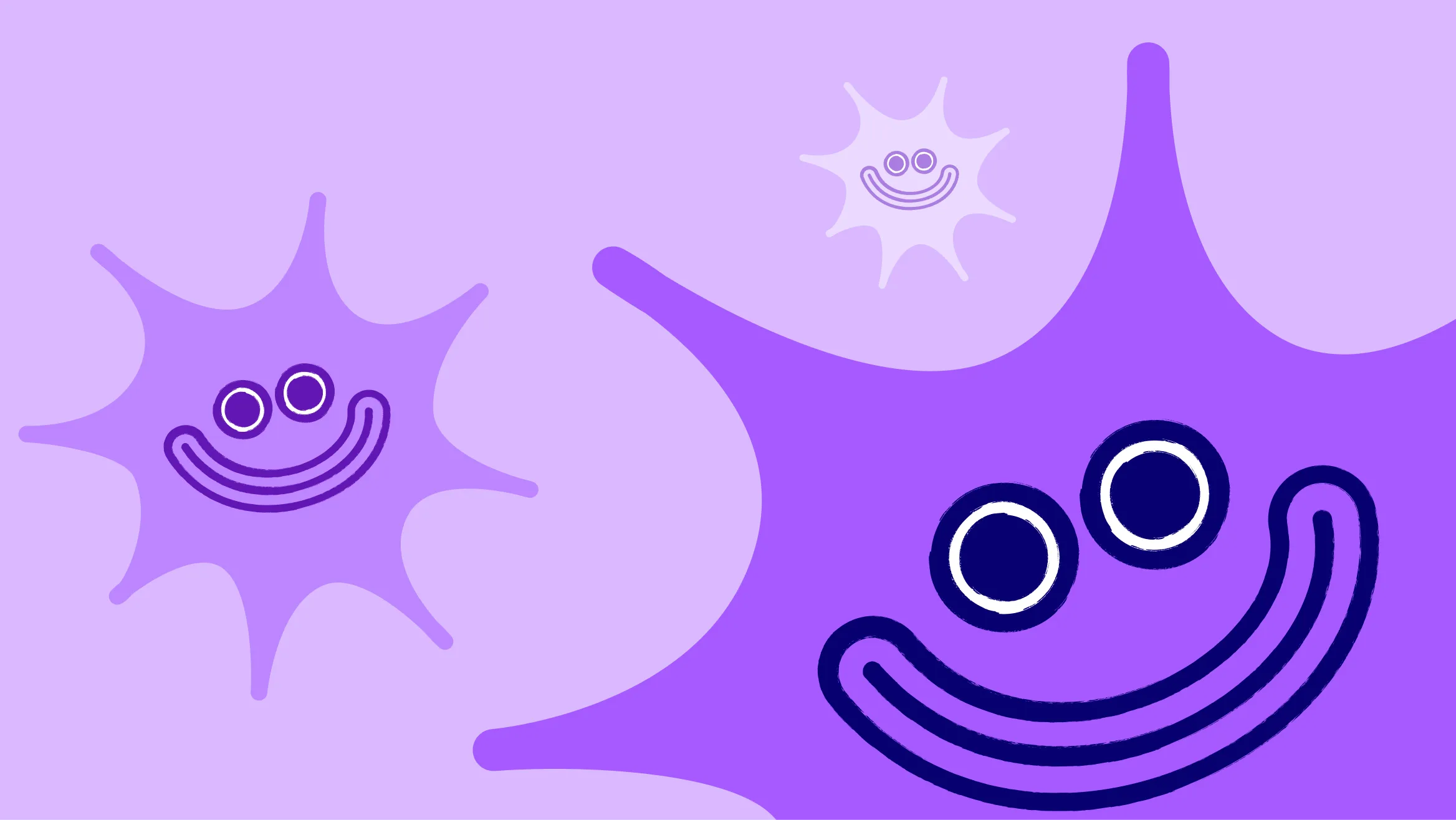 Bugs