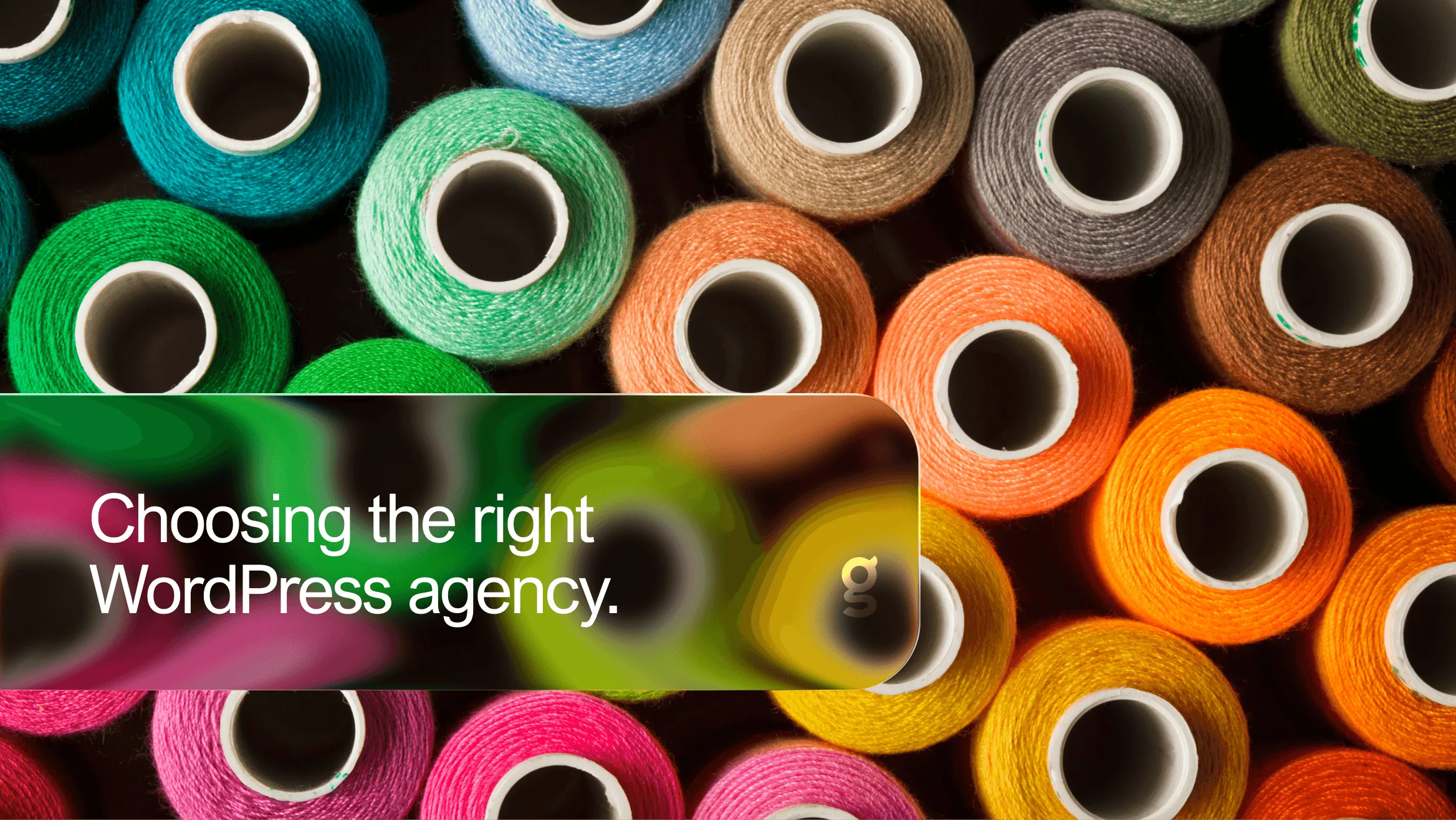 How to choose a WordPress development agency.